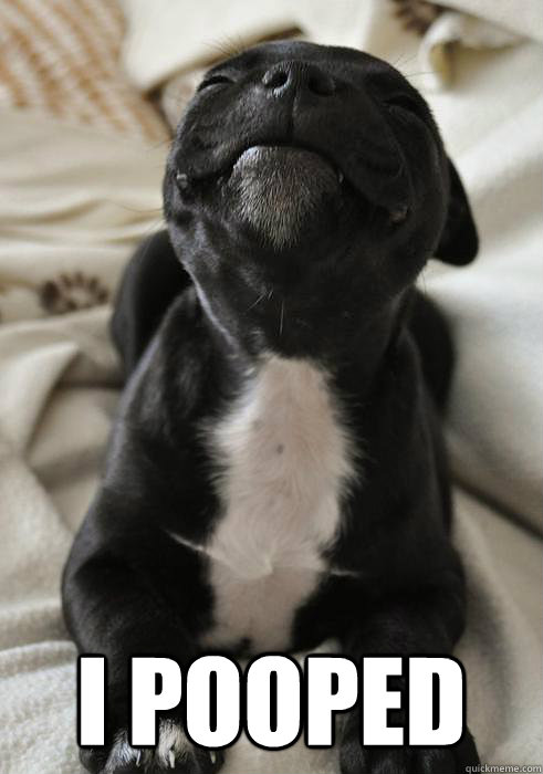  I pooped -  I pooped  Misc