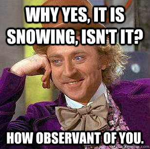 Why yes, it is snowing, isn't it? How observant of you.  Condescending Wonka