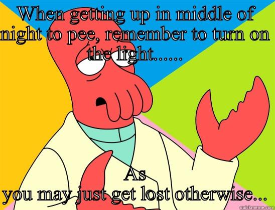 WHEN GETTING UP IN MIDDLE OF NIGHT TO PEE, REMEMBER TO TURN ON THE LIGHT...... AS YOU MAY JUST GET LOST OTHERWISE... Futurama Zoidberg 