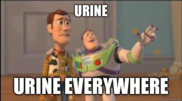 Urine Urine Everywhere - Urine Urine Everywhere  Misc