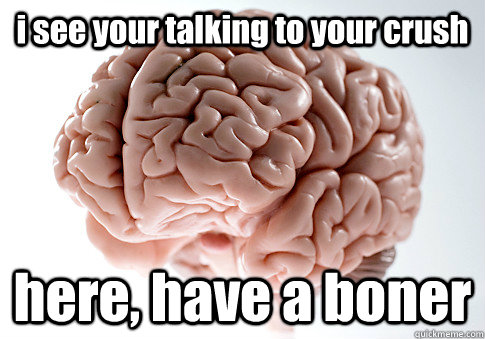 i see your talking to your crush here, have a boner  Scumbag Brain