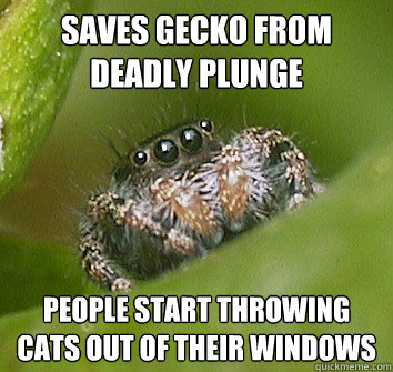 Saves gecko from deadly plunge people start throwing cats out of their windows  Misunderstood Spider