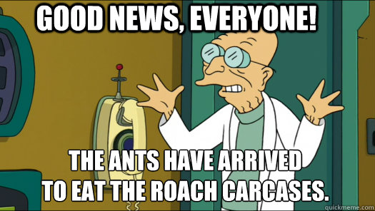 Good News, Everyone! The Ants have arrived 
to eat the roach carcases.  