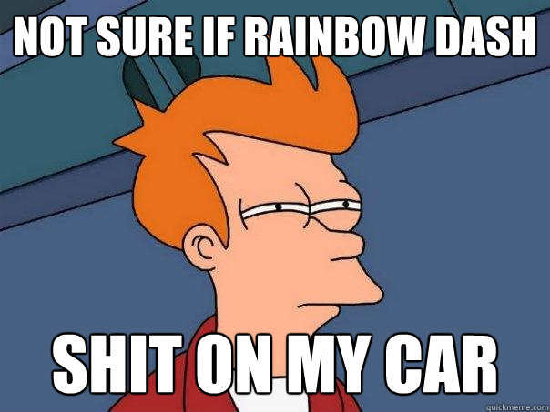 Not sure if Rainbow Dash Shit on my car  Futurama Fry