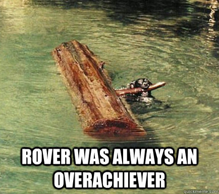  Rover was always an overachiever  