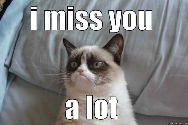 I MISS YOU A LOT Grumpy Cat