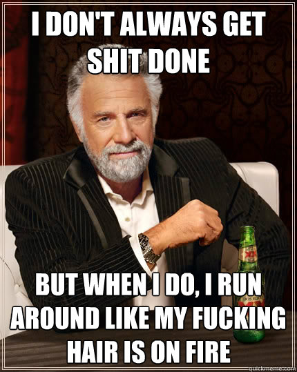 i don't always get shit done but when i do, i run around like my fucking hair is on fire  The Most Interesting Man In The World