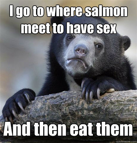 I go to where salmon meet to have sex  And then eat them  Confession Bear