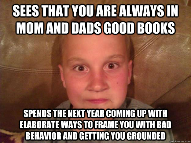 Sees that you are always in mom and dads good books Spends the next year coming up with elaborate ways to frame you with bad behavior and getting you grounded  