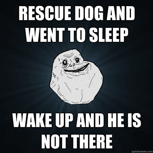 Rescue dog and went to sleep wake up and he is not there  Forever Alone
