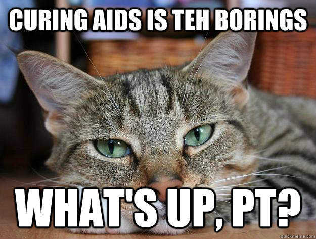 curing aids is teh borings what's up, pt?  Bored cat