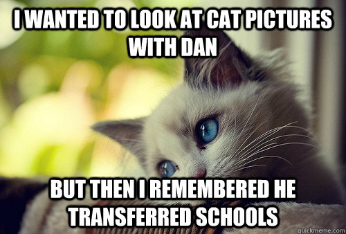 I wanted to look at cat pictures with dan but then i remembered he transferred schools  First World Problems Cat