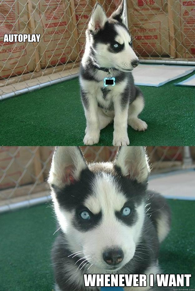 Autoplay whenever I want  Insanity puppy