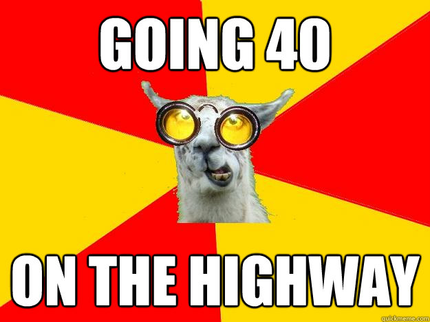 going 40 On the highway  Learner Driver Llama