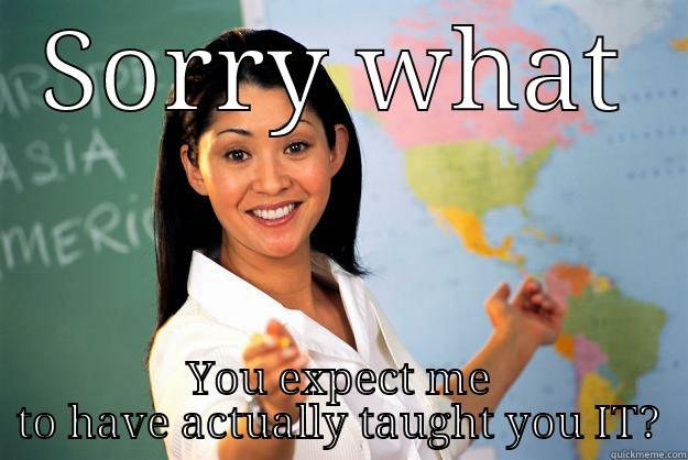 SORRY WHAT YOU EXPECT ME TO HAVE ACTUALLY TAUGHT YOU IT? Unhelpful High School Teacher