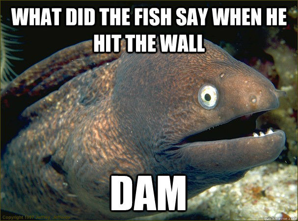 What did the fish say when he hit the wall DAM  Bad Joke Eel