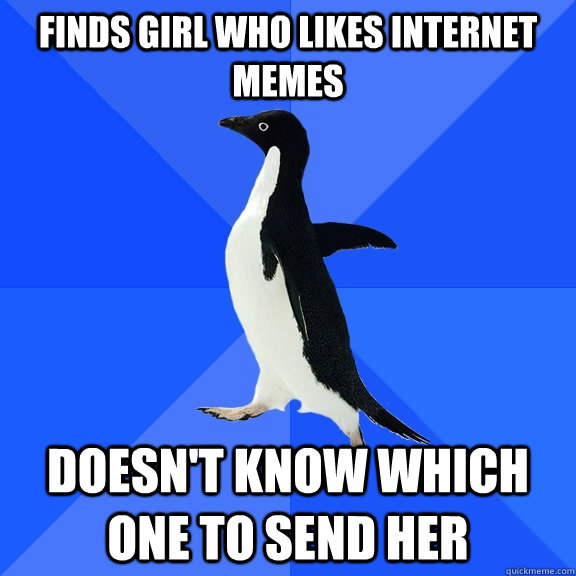 Finds girl who likes internet memes Doesn't know which one to send her  Socially Awkward Penguin