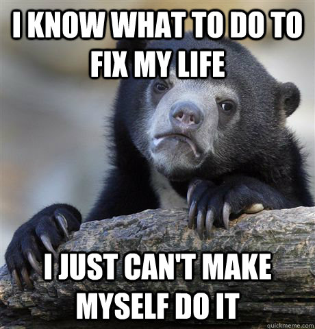 I know what to do to fix my life I just can't make myself do it  Confession Bear
