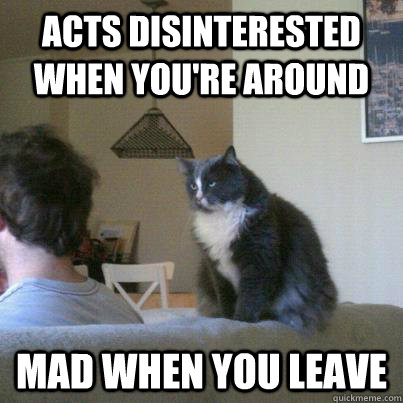 acts disinterested when you're around mad when you leave  Scumbag Cat