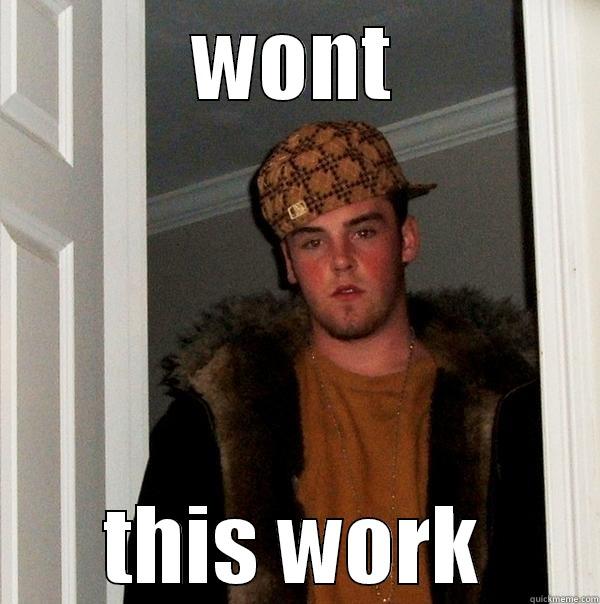 WONT THIS WORK Scumbag Steve