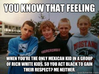 you know that feeling when you're the only mexican kid in a group of rich white kids, so you act black to gain their respect? me neither.        - you know that feeling when you're the only mexican kid in a group of rich white kids, so you act black to gain their respect? me neither.         funny meme kids