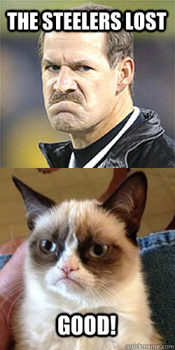The Steelers lost Good! - The Steelers lost Good!  Bill Cowher and Grumpy Cat