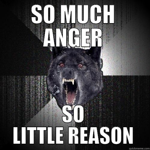 SO MUCH ANGER SO LITTLE REASON Insanity Wolf
