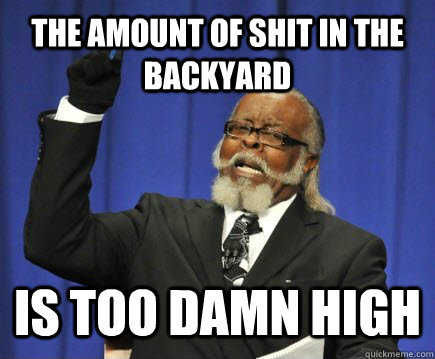 the amount of shit in the backyard is too damn high  Too Damn High