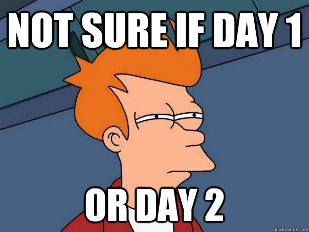 Not sure if Day 1 Or Day 2  Futurama Fry