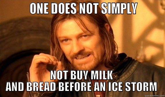           ONE DOES NOT SIMPLY         NOT BUY MILK AND BREAD BEFORE AN ICE STORM One Does Not Simply