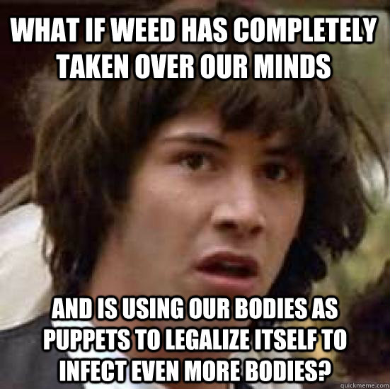 what if weed has completely taken over our minds and is using our bodies as puppets to legalize itself to infect even more bodies?  conspiracy keanu