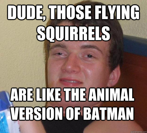 Dude, those flying squirrels are like the animal version of batman - Dude, those flying squirrels are like the animal version of batman  10 Guy