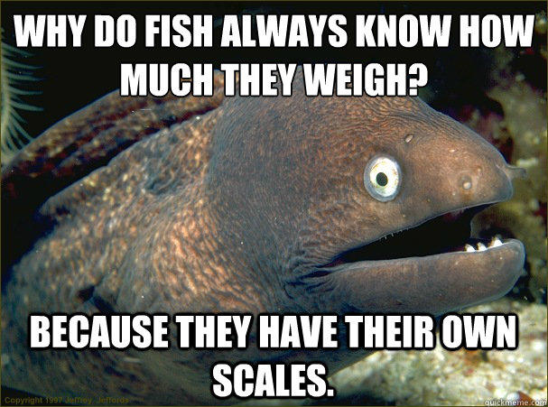 Why do fish always know how much they weigh?
 Because they have their own scales. - Why do fish always know how much they weigh?
 Because they have their own scales.  Bad Joke Eel