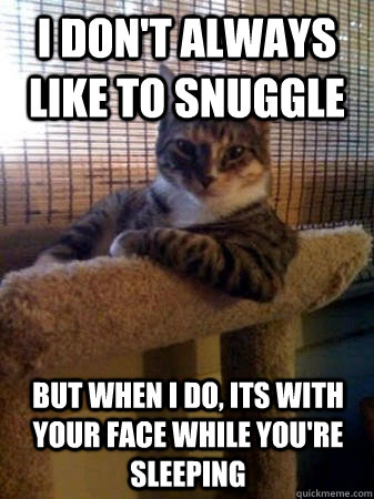 I don't always like to snuggle but when I do, its with your face while you're sleeping  The Most Interesting Cat in the World