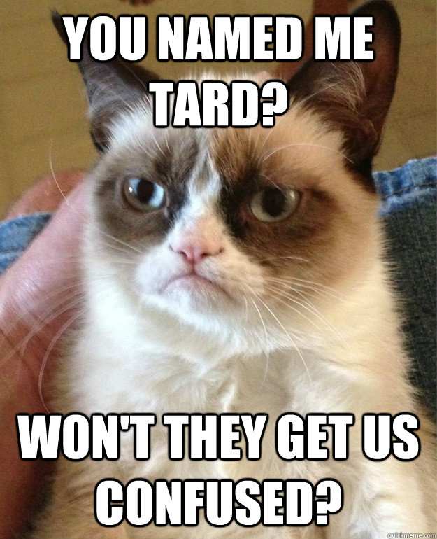 You named me Tard? Won't they get us confused? - You named me Tard? Won't they get us confused?  Grumpy Cat