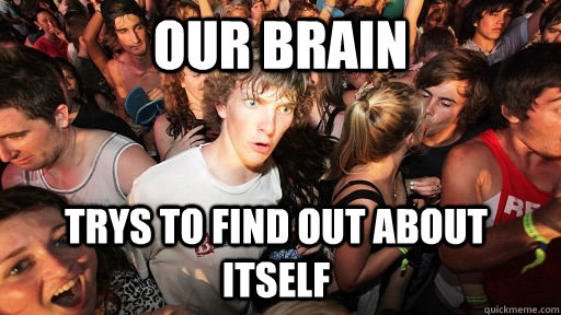 OUR BRAIN trys to find out about itself  Sudden Clarity Clarence