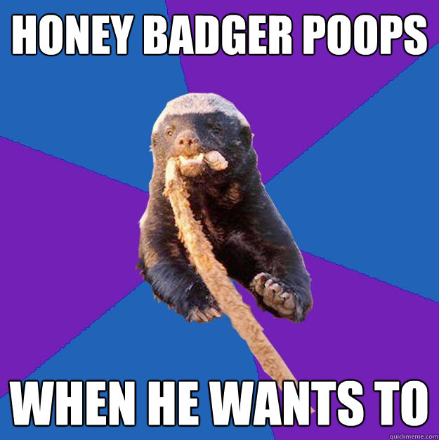 honey badger poops when he wants to  Honey Badger Dont Care