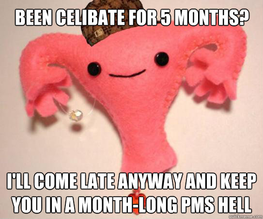 Been Celibate for 5 months? I'll come late anyway and keep you in a month-long PMS hell  Scumbag Uterus