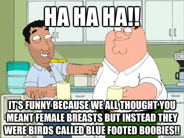 ha ha ha!! it's funny because we all thought you meant female breasts but instead they were birds called blue footed boobies!!   