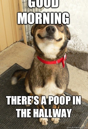 Good Morning There's a poop in the hallway  Good Dog Greg
