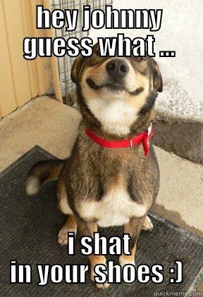 HEY JOHNNY GUESS WHAT ... I SHAT IN YOUR SHOES :)  Good Dog Greg