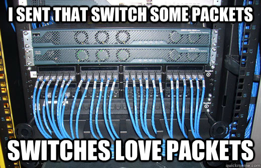 I sent that switch some packets Switches love packets - I sent that switch some packets Switches love packets  Misc