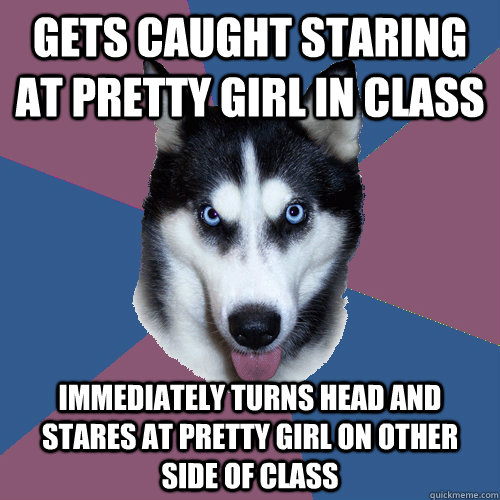 Gets caught staring at pretty girl in class immediately turns head and stares at pretty girl on other side of class - Gets caught staring at pretty girl in class immediately turns head and stares at pretty girl on other side of class  Creeper Canine