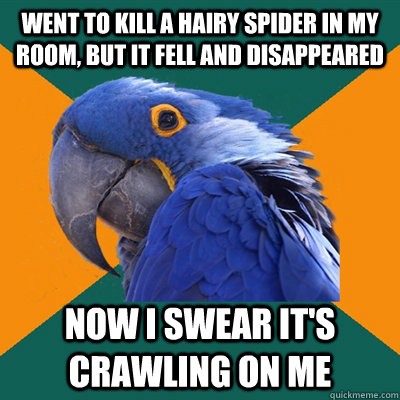 went to kill a hairy spider in my room, but it fell and disappeared now I swear it's crawling on me - went to kill a hairy spider in my room, but it fell and disappeared now I swear it's crawling on me  Paranoid Parrot