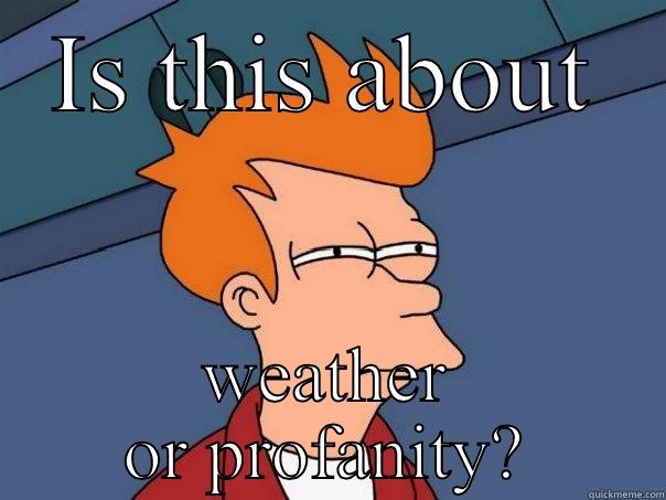 IS THIS ABOUT WEATHER OR PROFANITY? Futurama Fry
