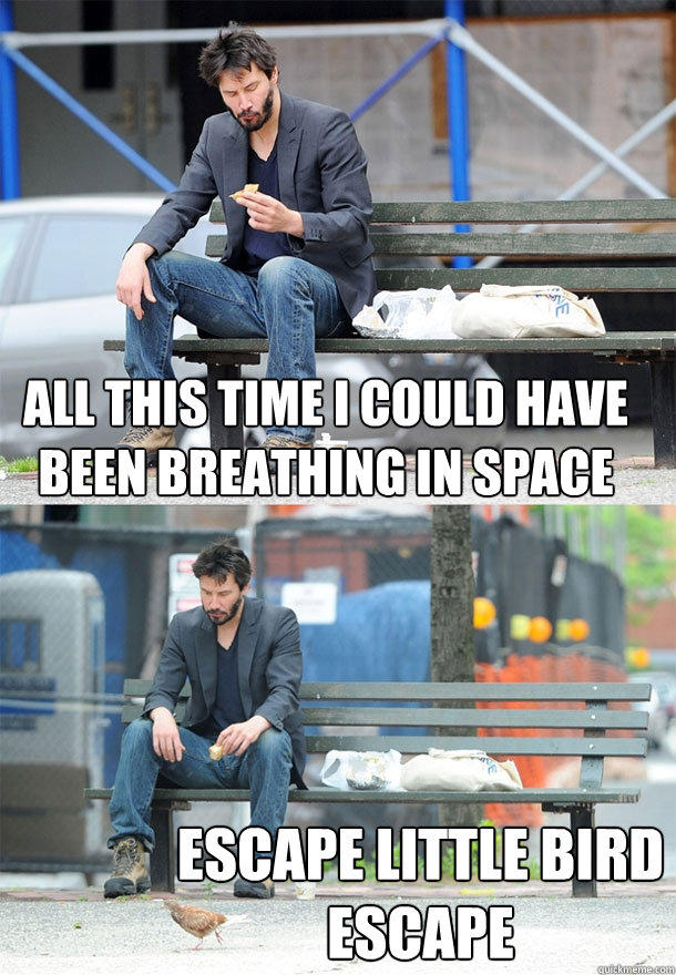 all this time i could have been breathing in space escape little bird escape  Sad Keanu