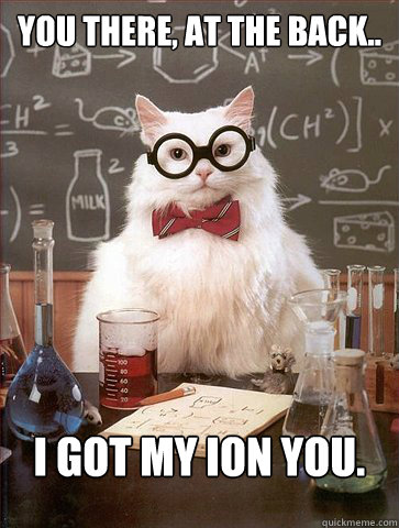 You there, at the back..

 I got my ion you.  Science Cat