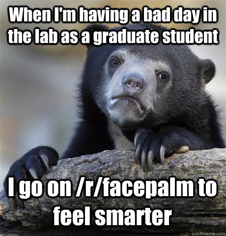When I'm having a bad day in the lab as a graduate student I go on /r/facepalm to feel smarter  Confession Bear