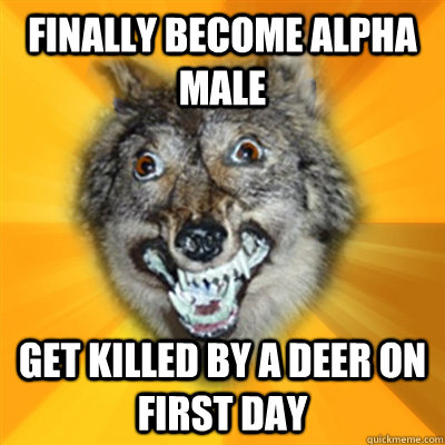 finally Become Alpha male get killed by a deer on first day  Retarded Wolf