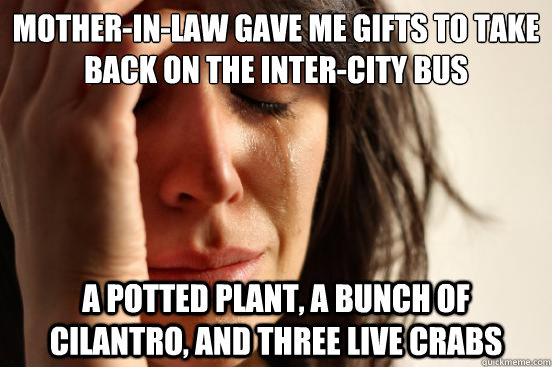 Mother-in-law gave me gifts to take back on the inter-city bus A potted plant, a bunch of cilantro, and three live crabs  First World Problems